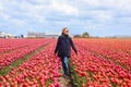 Dreamy beautiful long haired blond woman wearing blue coat standing in a field of pink tulips Royalty Free Stock Photo