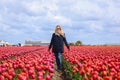 Dreamy beautiful long haired blond woman wearing blue coat standing in a field of pink tulips Royalty Free Stock Photo