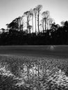 A dreamy black and white look at snowy South Carolina and the Atlantic at sunset - Hunting Island - USA