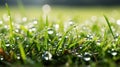 Dreamy bokeh background with blurred natural green grass and sparkling water droplets Royalty Free Stock Photo