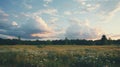 Dreamy Cloudscape: Lo-fi Aesthetic Landscape Photography With Wildflowers