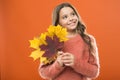 Dreamy cutie. I would stay here forever. school time. childhood happiness. fall season. fallen leaves. happy small girl Royalty Free Stock Photo