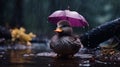 Dreamy Duck In Rain Wallpaper: Ultraviolet Photography With Canon Eos 5d Mark Iv