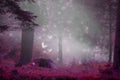 Dreamy fairytale forest scene with magic fireflies, foggy surreal forest Royalty Free Stock Photo