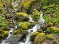 Dreamy fairytale mossy forest stream