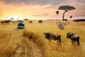 Dreamy African Wildlife Safari Scene Royalty Free Stock Photo