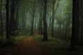 Dreamy foggy dark forest. Trail in moody forest Royalty Free Stock Photo