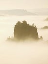 Dreamy fogy landscape, gentle pink misty sunrise in a beautiful valley of Saxony Switzerland park. Royalty Free Stock Photo