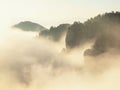 Dreamy fogy landscape, gentle pink misty sunrise in a beautiful valley of Saxony Switzerland park. Royalty Free Stock Photo