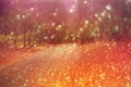 Dreamy forest bokeh background Royalty Free Stock Photo