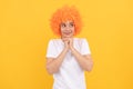 dreamy freaky woman in curly clown wig for party, dreaming Royalty Free Stock Photo