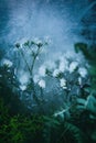 Dreamy frozen roses in blue Royalty Free Stock Photo