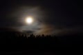 Dreamy full moon night sky over spruce tree forest and mountain Royalty Free Stock Photo