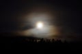 Dreamy full moon night sky over spruce tree forest and mountain Royalty Free Stock Photo