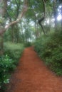 Dreamy Garden Path Royalty Free Stock Photo