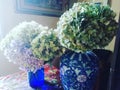 Dreamy hydrangeas and blue and white pottery home decor
