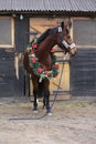 Dreamy image of a saddle horse wearing a beautiful christmas wreath at rural riding hall against barn door Royalty Free Stock Photo