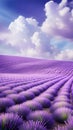 A dreamy image of a purple lavender field under a blue sky with white clouds, creating a sense of calmness and beauty