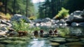 Dreamy Lake With Pine Cones And Rocks: Vray Tracing And Environmental Awareness