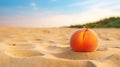 Dreamy Landscape: Orange Peach On Sandy Beach