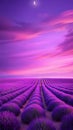 Dreamy Lavender Field Under a Purple and Pink Sky