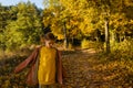 Dreamy little girl in yellow sweatshirt with braids stands on a foliage pathway in autumn forest, looking down. Royalty Free Stock Photo
