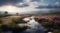 Dreamy Marsh In The Hindu Yorkshire Dales