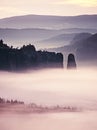 Dreamy misty forest landscape. Majestic peaks of rocks cut lighting mist. Deep valley