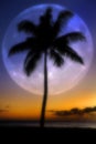 Dreamy Misty Palm Trees Sunset Near Ocean Beach Tropical Location Full Moon Royalty Free Stock Photo