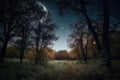 dreamy night sky, with the moon and stars shining brightly, surrounded by trees in a harvest moon landscape