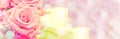 Dreamy pastel roses, panoramic floral background vintage style