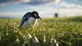 Dreamy Penguin In Grass: Unreal Engine Rendered Artwork
