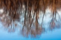 Dreamy Reflection of Trees in River