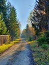 Dreamy road upwards on a cool and slightly misty autumn morning towards the blue sky Royalty Free Stock Photo