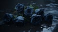 Dreamy Romanticism Black Roses In A Dark Place