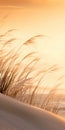 Dreamy Romanticism: Tall Grasses And Beige Sand At Sunset