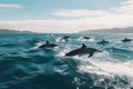 dreamy scene of a school of dolphins diving and jumping in the tranquil waters of the ocean