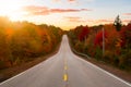 Dreamy Scenic Road in the nature with Vibrant Fall Color Trees.