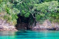 A dreamy shore with clear blue water, rocks and trees in new zealand Royalty Free Stock Photo