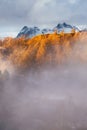 Snowcapped Langdale Pikes with beautiful evening mist and light. Lake District, UK.