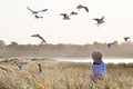 Dreamy soft woman in grass field & birds flying Royalty Free Stock Photo