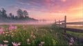Dreamy sunrise in a foggy meadow with flowers Royalty Free Stock Photo