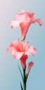 Dreamy Surrealist 3d Flowers Mobile Wallpaper With Pink Gladiolus