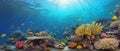 Dreamy underwater scene with colorful coral reef teeming with marine life