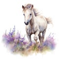 Dreamy Watercolor Foal Running Through Blooming Heather AI Generated