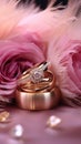 Dreamy wedding scene featuring gold rings, Eustoma roses, and light pink feathers Royalty Free Stock Photo