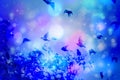 Dreamy winter scene with starling birds flying against blue sky with bokeh light