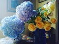 dreamy yellow David Austin roses with blue hydrangea