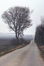 Dreary, Lonely Country Road in Winter in Czech Republic