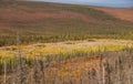 Dredge tailings Royalty Free Stock Photo